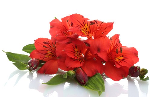 Satisfied customer receiving flower delivery in Richmond