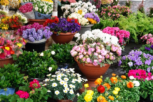 Eco-friendly flower arrangement with sustainable packaging