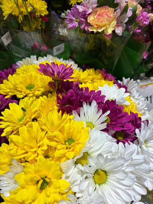 A vibrant arranging of fresh flowers including large pink gerbera daisies, white roses, red gerberas, and white chrysanthemums, all wrapped in pink paper with green palm leaves and tall, slender grass