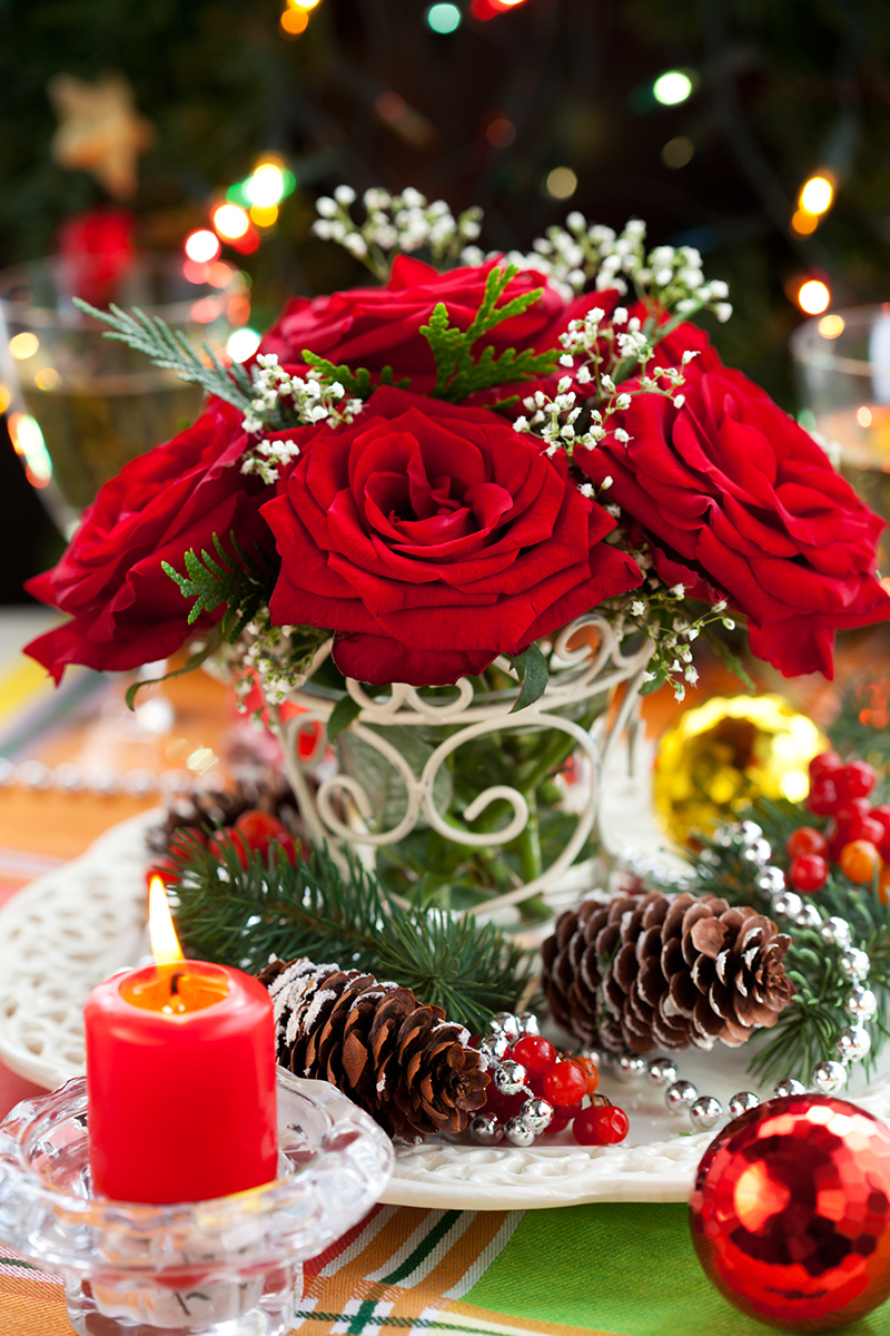 Which Flower Epitomizes Your Spirit and Nature